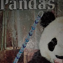 Pattern #38252 Photo