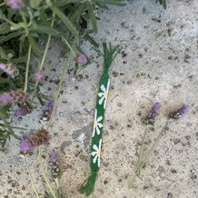 Pattern #193629 Photo