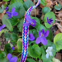 Pattern #146772 Photo