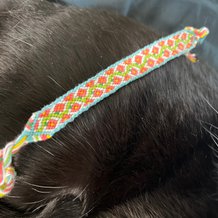 Pattern #115119 Photo