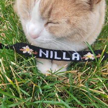 Pattern #150116 Photo