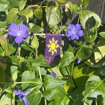 Pattern #36226 Photo