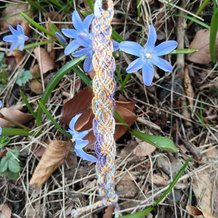 Pattern #52643 Photo