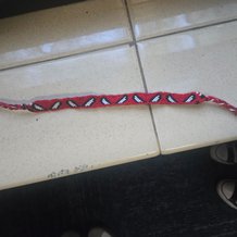 Pattern #162348 Photo