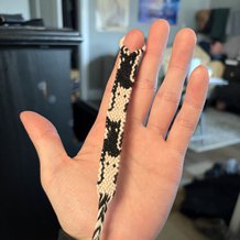 Pattern #199458 Photo