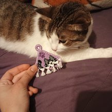 Pattern #49362 Photo