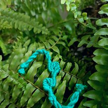 Pattern #202957 Photo