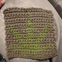 Pattern #25107 Photo