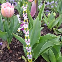 Pattern #188559 Photo