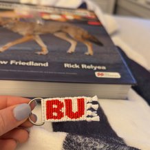 Pattern #73692 Photo