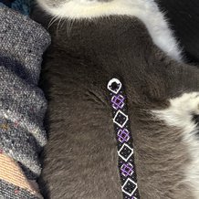 Pattern #181274 Photo