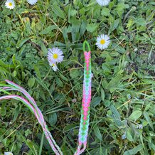 Pattern #29781 Photo