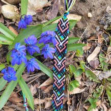 Pattern #83269 Photo