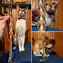 Pattern #207195 Photo