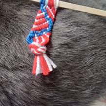 Pattern #204800 Photo