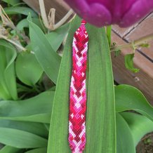 Pattern #154557 Photo