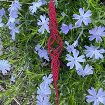 Pattern #153490 Photo