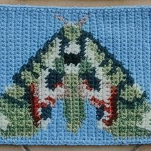 Pattern #207114 Photo