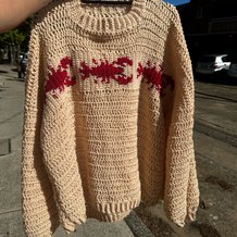 Pattern #202302 Photo