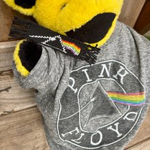 Pattern #165497 Photo