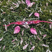 Pattern #79422 Photo