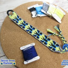 Pattern #168839 Photo