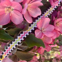 Pattern #25897 Photo