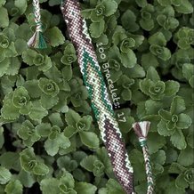 Pattern #125423 Photo