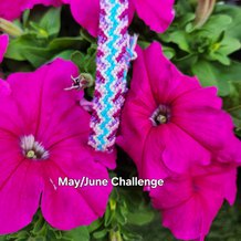 Pattern #8517 Photo