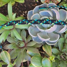 Pattern #128285 Photo