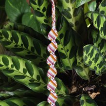 Pattern #80146 Photo