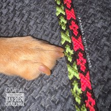 Pattern #212359 Photo