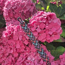 Pattern #109681 Photo