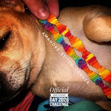 Pattern #213293 Photo