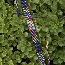 Pattern #49125 Photo