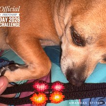 Pattern #182269 Photo