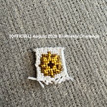 Pattern #120301 Photo