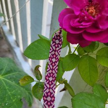 Pattern #188833 Photo