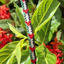 Pattern #159722 Photo