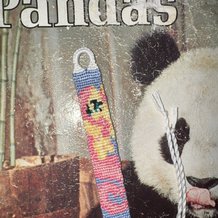 Pattern #173911 Photo
