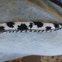 Pattern #188131 Photo