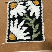 Pattern #162100 Photo
