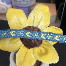 Pattern #184721 Photo