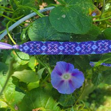 Pattern #179743 Photo
