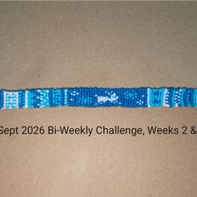Pattern #179953 Photo