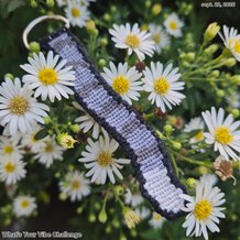 Pattern #146577 Photo