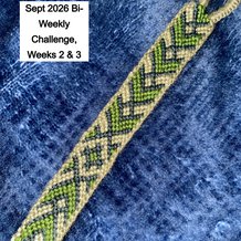 Pattern #74219 Photo