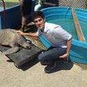 PFturtle
