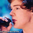 PariStyles