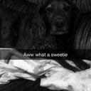 Adeline
